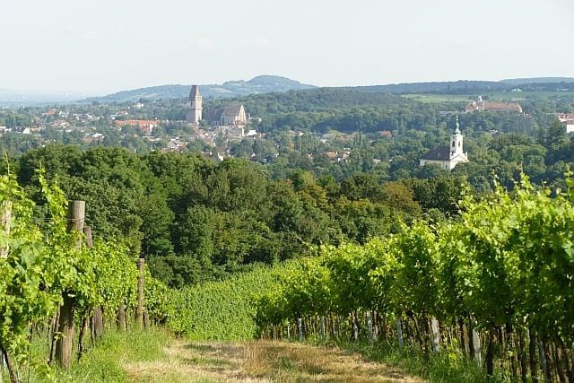 Maurer von Oben
